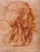 Study fur the communion Leonardo Da Vinci